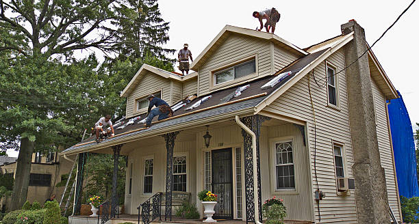 Best Metal Roofing Contractor  in Anahuac, TX