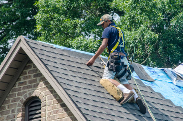 Best Roof Leak Repair  in Anahuac, TX